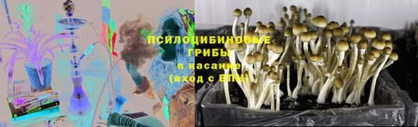 прущий лед Алексеевка